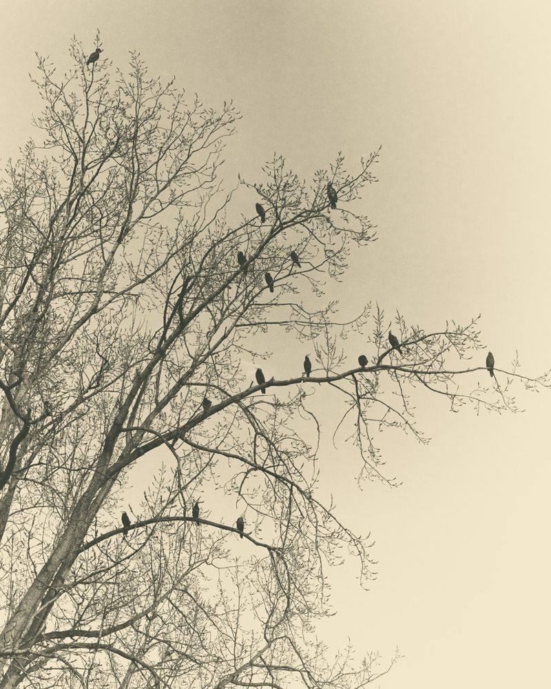 Enigma of Life Online Photo Exhibition by Artdoc Photography Magazine